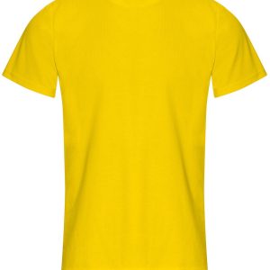 rx151 yellow ft2